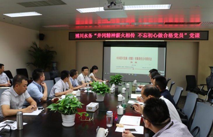 井冈精神薪火相传 不忘初心做及格党员-公司召开“两学一做”专题教育报告会