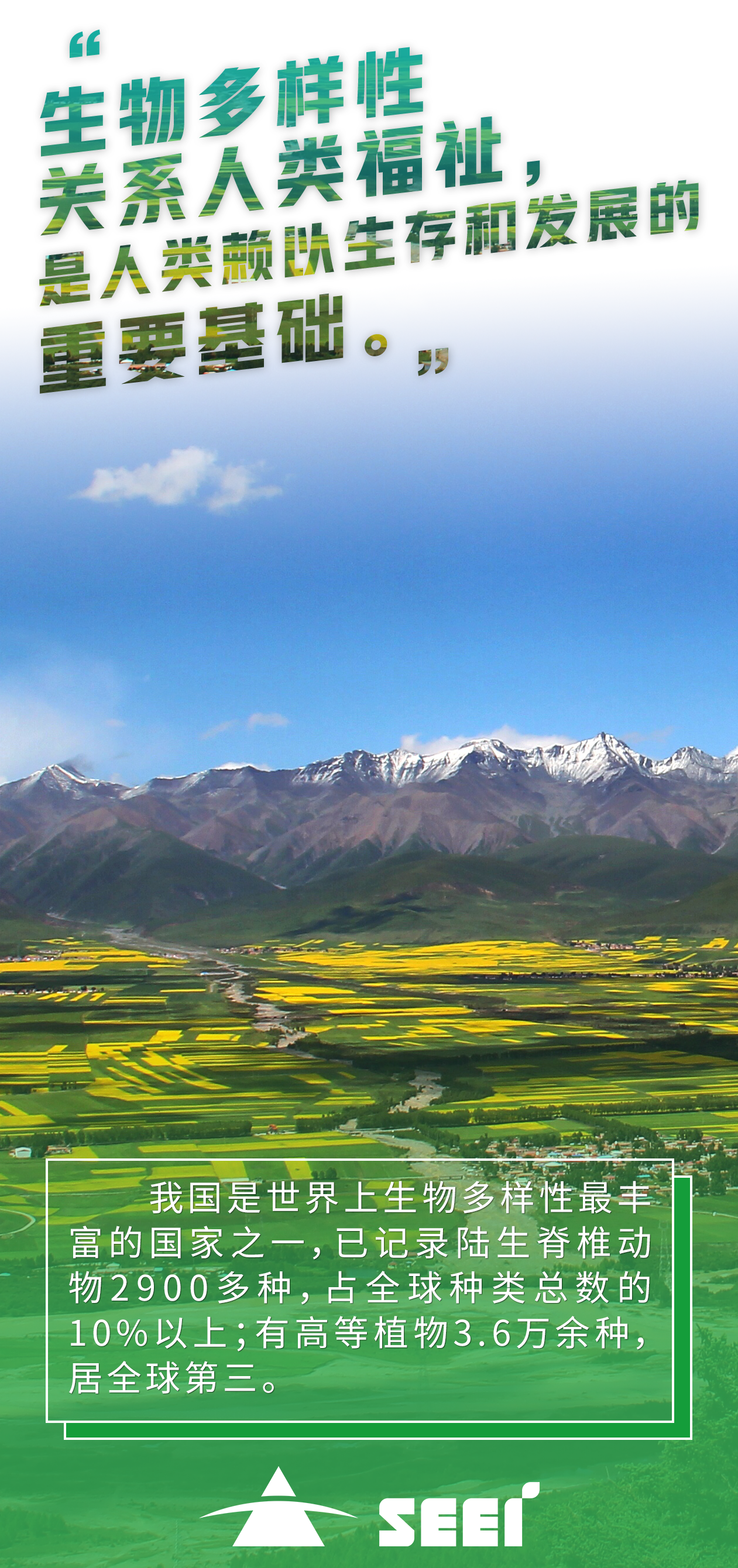 1四川公海贵宾会5500环保集团企业治理部-朱家佩-门源