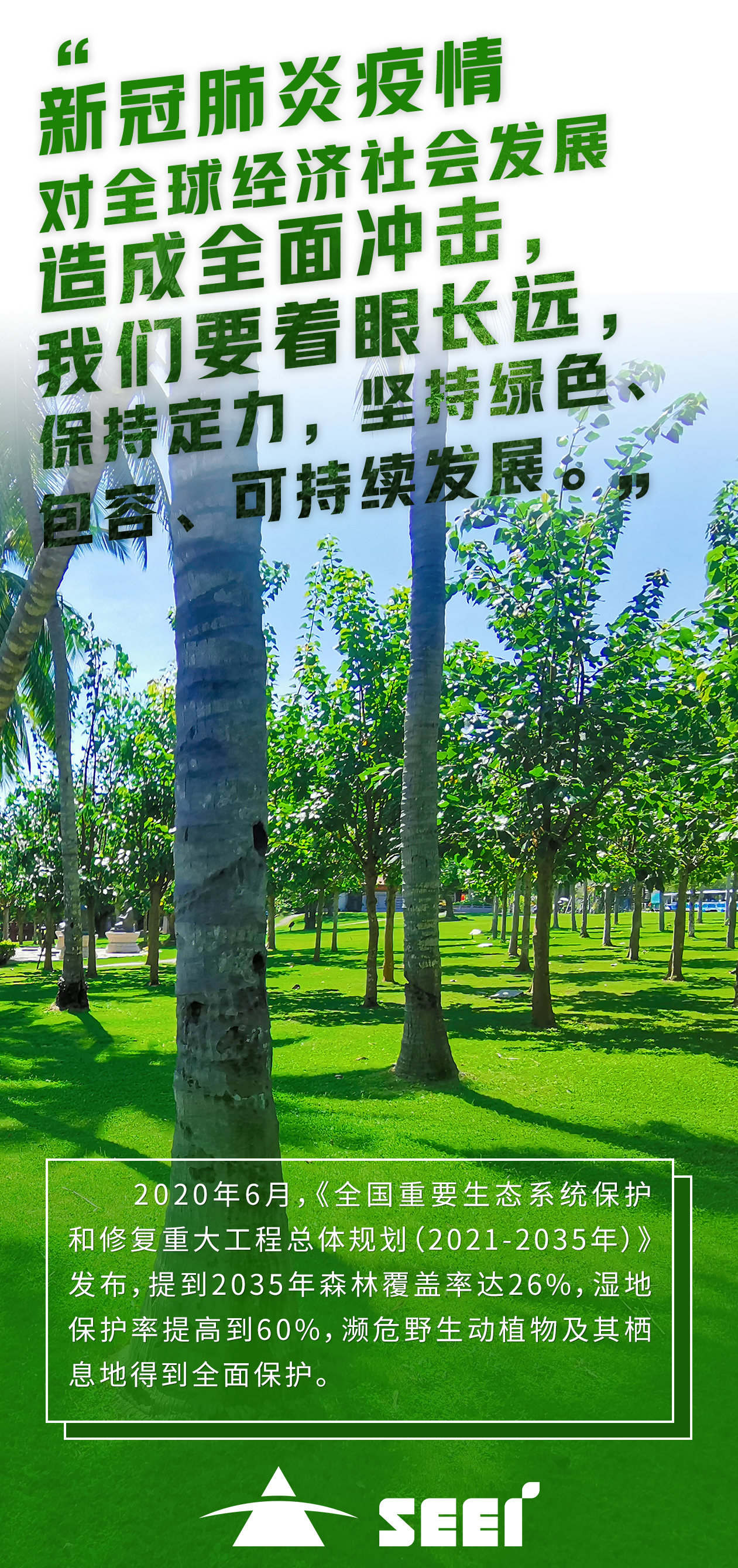 4清新情形-张莹