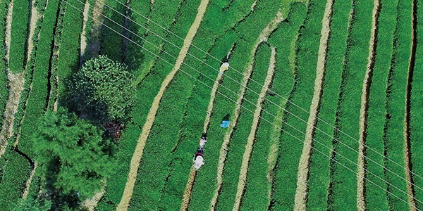 公海贵宾会5500修复